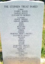 Treat Family Mysteries