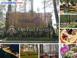 Kira kira berapa harga tiket masuk grafika cikole ternyata murah sobbb tempat wisata. Orchid Forest Cikole Destinasi Wisata Favorit Kekinian Di Bandung