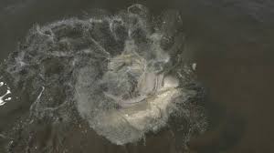 Venghaus jr., giannis johannes, jon favreau and others. The Monk And The Demon Calugarul Si Demonul 2016 Online Subtitrat