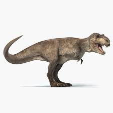 Ofertas en pinturas, herramientas y artículos para el hogar. Tyrannosaurus Rex Rigged3dæ¨¡åž‹ Turbosquid 1154016