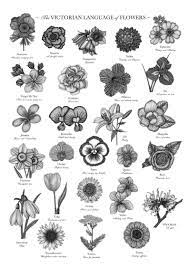 Victorian Language Of Flowers Print A To Z Of Flowers Flower Alphabet Floriography Floral Print Victorian Flower Meanings In 2021 Birth Flower Tattoos Flower Alphabet Victorian Flowers