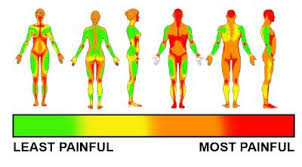 Throughout the spine, intervertebral discs made of. Pin On Tattoo You
