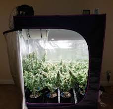 Indoor setups