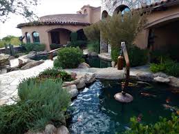Enjoy a variety of koi aplenty, collecting lots of aquatic plants, and even a refreshing dip! Ctk Quality Pond Products Llc