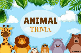 Now that you have read through our list of facts, farm animal trivia, and maybe even our animal trivia for kids, see how much you really know about animals.try using our list of animal trivia questions and answers for a trivia game with friends and family. 110 Animal Trivia Question Answers Meebily
