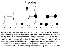 Understanding Genetics