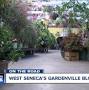 Gardenville Blooms from www.wkbw.com