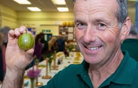 UK: New Guinness World Record Set for Largest Gooseberry