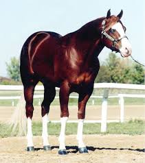 Pin On Strong Powerful Beautiful