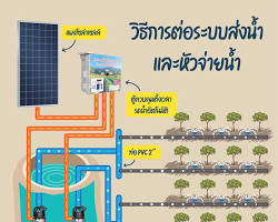 รูปภาพระบบให้น้ำแบบอัตโนมัติโซล่าเซลล์