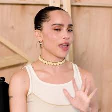 Zero Dark Thirty Trailer