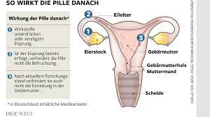 Pille Danach Wird Fur Netz Apotheken Gesperrt Welt