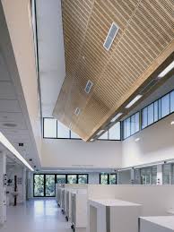 Alfred Hospital Icu Wood Panelled Ceiling Credit Rhiannon Slater Photography Healthcare Design Interior Design Studio Design