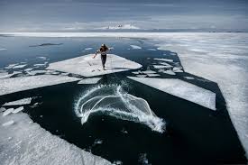Hair Transplant On Twitter Fishing Photography Sea Fishing National Geographic