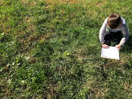 Abrielle Bartley (@AbrielleBartley)