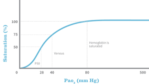 Anesthetic Monitoring Interpreting The Readings