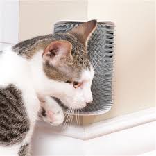 Kaktuskedi Kil Toplama Ve Kedi Kasinma Aparati 711157
