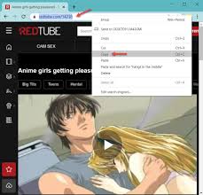 How to Download RedTube Videos [2 Latest Methods]