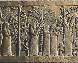 Assyrien Und Seine Nachbarn Choreografie Des Grauens Pdf Kostenfreier Download
