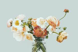 Coming Soon Debby Lewis