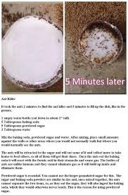 Spiders Ants And Wasps Oh My Try These Natural Insect Repellents To Get Rid Of Those Pesky Insects Do You Have A Way Of In 2020 Ant Killer Diy Pest Control Ants