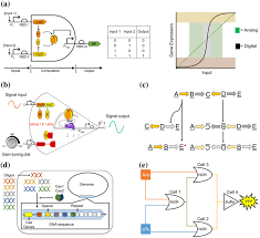 We always make sure that writers follow all your instructions precisely. Versatile Cellular Computing Paradigms Enabled By Synthetic Biology A Download Scientific Diagram