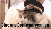 We did not find results for: Weltkatzentag Gifs Get The Best Gif On Giphy