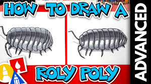 Caterpillar drawing guide created date: Insects Archives Art For Kids Hub