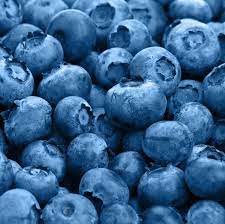 Images & pictures of blueberries wallpaper download 1094 photos. What Is Cyclospora Fda Recalls Blueberries Over Possible Parasite