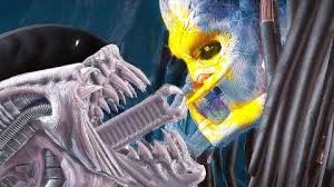 All stage fatalities included, alien's baby fatality included, predator's trophy fatality. Tarkatan Xenomorph Xenopedia Fandom