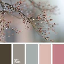Grey Floors Blue Walls Rose Pink Accents And Rose Gold Frames For Dining Room Winter Color Palette Bedroom Color Schemes Color Palette
