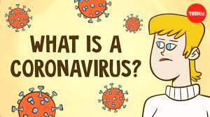 Coronaviruses have enveloped virions that measure approximately 120 nm in diameter. What Is A Coronavirus Elizabeth Cox Youtube