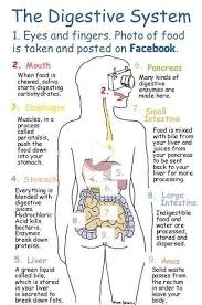 Medical Basics Medical Education Made Simple In 2020 Medical Education Nursing School Survival Medical Knowledge