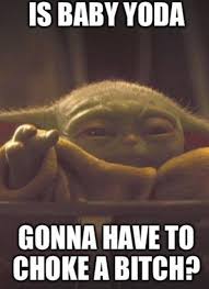 Pin By Natalie Campbell On Baby Yoda Yoda Meme Star Wars Memes Puppies Funny