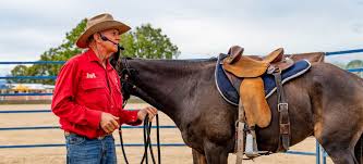 On saturday 10 july 2021 at 8:00 am to sunday 11 july 2021 2:00 am. Mareeba Rodeo 2022 Home Facebook
