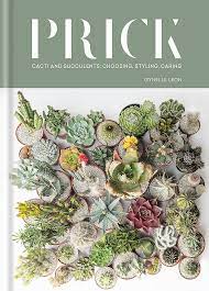 They are classified as a succulent, which means their stems can store incredible amounts of water and this is why they can survive in high climates and often have a. Prick Cacti And Succulents Choosing Styling Caring Amazon De Leon Gynelle Fremdsprachige Bucher