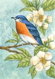 Elena Vladykina Passaros Pintados Pinturas De Passaros Passaro De Aquarela
