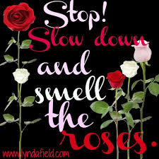 124 stop and smell the flowers quote. Slow Down And Smell The Roses Quote Via Www Lyndafield Com Rose Quotes Beautiful Words Coming Up Roses