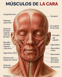 Mayda Morales (maydamo)