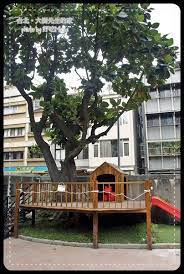 食記 台北 大安區 大樹先生的家 擁有戶外花園與室內遊戲區的夢幻親子餐廳 好吃mana 美食 旅遊 育兒 痞客邦 house styles