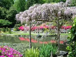Maybe you would like to learn more about one of these? The James Irvine Japanese Garden The Randellegreen Group