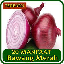 Berbeda sekali dengan bawang putih yang baik pesan moral lain yang bisa diambil, kebaikan yang kita tabur akan kita tuai kembali dalam bentuk. 20 Manfaat Bawang Merah Fur Android Apk Herunterladen