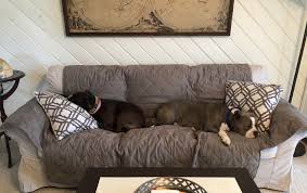Did Anyone Else Get The Couch Cover The Other Week It Has Saved My Sofa From These Two Sweet Babies Who Sometimes Aren T That Sweet And Are Sometimes Covered In Mud