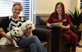 Angel's pet hospital is an alright work place, though it could really use some work. Veterinarians In Pasadena Tx Angel Animal Hospital