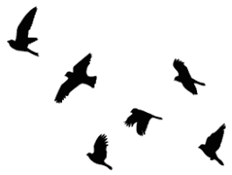 Custom Wall Decals Stickers Vinyl Wall Murals Sign Shop Flying Bird Tattoo Flying Bird Silhouette Bird Stencil