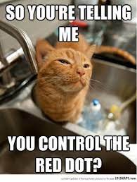 Skeptical Cat Lolsnaps Funny Animal Memes Funny Cat Memes Funny Animal Pictures