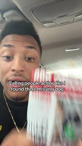 Missing Dogs Brentwood