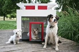 Kopek Kulubesi Degil Malikane Kopek Kulubesi Dog Houses Dogs Ve Luxury Dog House