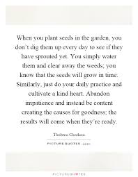 When You Plant Seeds In The Garden You Don T Dig Them Up Every Picture Quotes