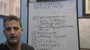 This fatigue might come and go, hitting you without warning daily, weekly or less frequently. Can Adrenal Fatigue Cause Hair Loss Youtube